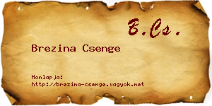 Brezina Csenge névjegykártya